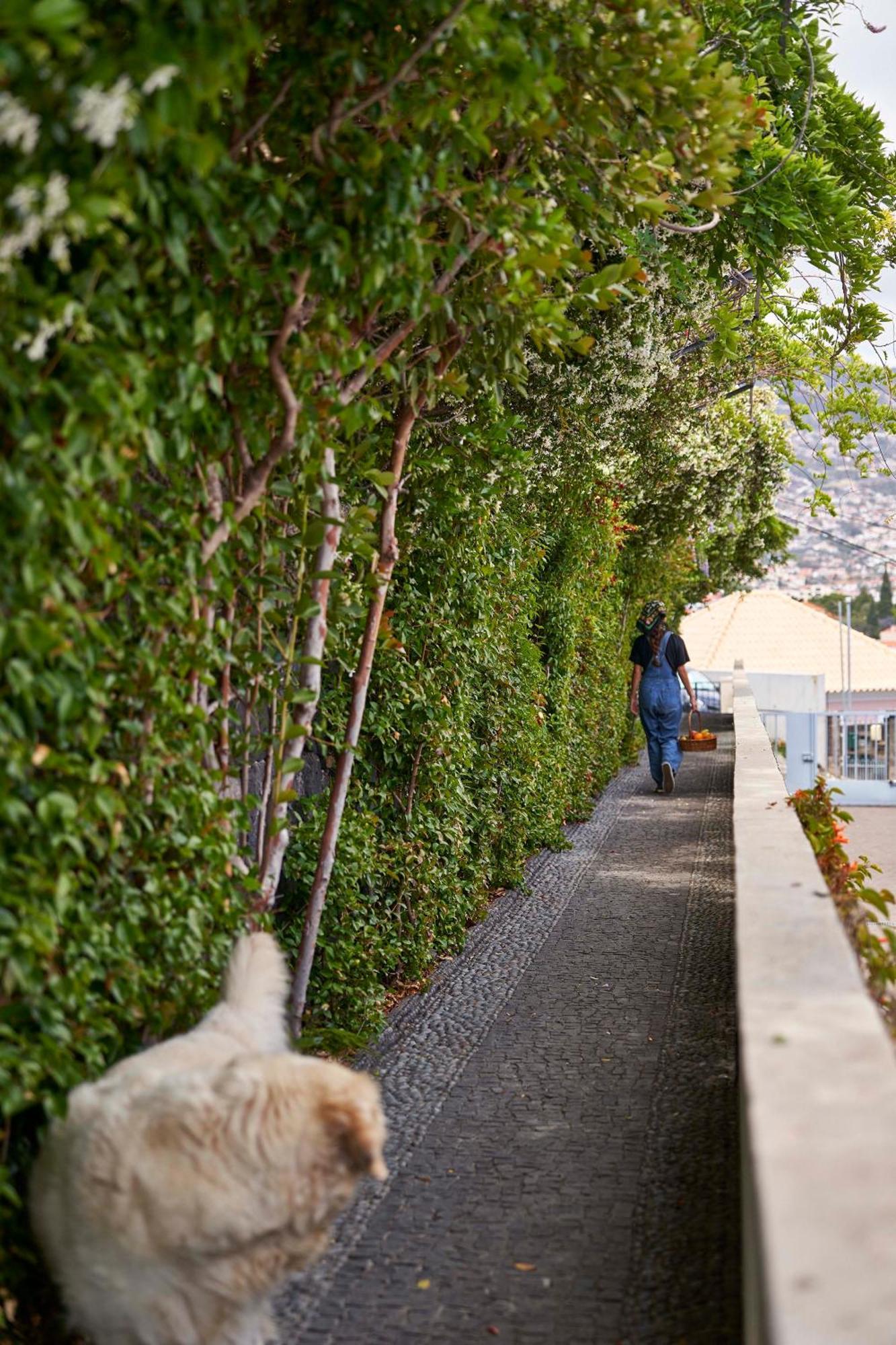 Bordal Houses Funchal  Exteriér fotografie